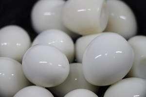 ซื้อไข่นกกระทากระป๋อง/รสธรรมชาติ/พร้อมให้บริการ/โปรตีนสูง - Product Image 6