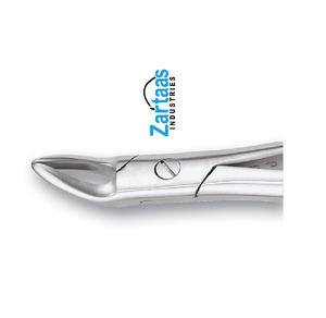 Fórceps de extracción de acero inoxidable de alta calidad raíces superiores Fig. Exportadores y fabricantes 76N - Product Image 4