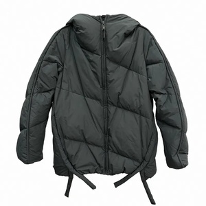 Chaqueta de Invierno 2024 de Alta Calidad, Chaqueta Acolchada Personalizada para Hombre, Impermeable, Transpirable, Ecológica, de Lona, Estilo Urbano - Product Image 1