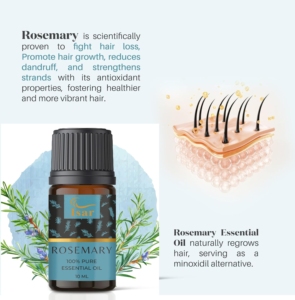 2024 Wholesale 100% Pure Natural Organic Rosemary Essential Oil Steam Distilled for Curly Hair Repair Loss Prevention Private - Product Image 2