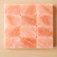 Briques de sel de l'Himalaya sculptées de forme rectangulaire multifonctionnelles HIMALAYAN IMPEX - Durables, de haute qualité, emballage personnalisé, approvisionnement en vrac