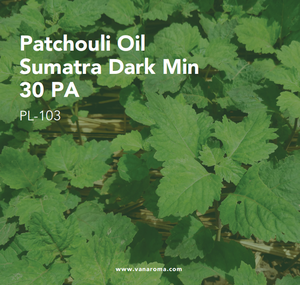 Aceite de Aromaterapia Fresco de Pachulí Sumatra Dark Min 30 PA (PL-103) Van Aroma - Product Image 1