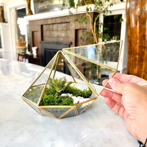 Producto más vendido, cristal transparente recubierto de polvo negro, decoración en forma de corazón, jarrón de cristal, terrario, jardín, decorativo, tamaño personalizado - Product Image 6