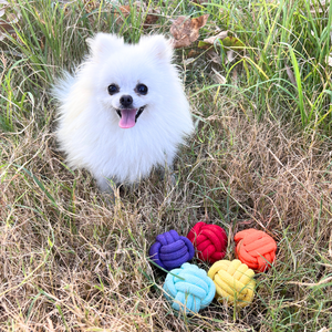 Juego de Juguetes de Cuerda con Pelota Arcoíris para Cachorros y Mascotas Pequeñas, Petite Pup - Product Image 3