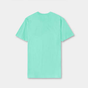 Softstyle Enzyme Washed camiseta para hombre Hanes para hombre Premium auténtica Camiseta cuello redondo Seafoam menta verde camisetas siguiente nivel - Product Image 2