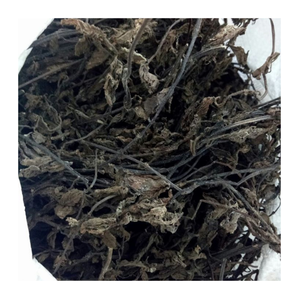 เจลลี่หญ้าสีดำระดับพรีเมี่ยมจากเวียดนามสำหรับดื่มทั่วโลกชาบับเบิ้ลและของหวาน - Product Image 6