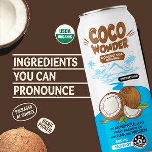 Lait de coco au chocolat 500 ml 16.9 floz boisson VINUT 24 bouteilles carton bouteille PET non OGM sans sucre ajouté OEM marque privée - Product Image 5