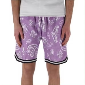 Hot Sale New Style Breathable <b>Mesh</b> Shorts <b>Pants</b> Wholesale Custom <b>Mesh</b> Sports Wear Wholesale Custom Sports Mens Shorts - Product Image 3