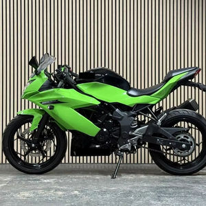 Motocicleta Ligera Quality Ninjas 250SL - Product Image 1