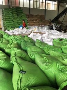 Vietnamita 600 MC Pimienta negra Alta calidad Hierba entera Especias Exportación cruda Venta directa económica de Ms Ruby + 84 359318390 - Product Image 6