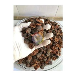 EL MEJOR CULTIVO DE HIGOS SECOS HECHO EN VIETNAM PRECIO BARATO HIGOS SECOS DE ALTA CALIDAD LISTO PARA EXPORTAR ENTREGA RÁPIDA HIGOS SECOS - Product Image 5