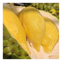 Bevroren Hele Ri6 Durian Verse Durian Pulp Premium Monthong Durian Vlees Voor Export Uit Vietnam Met Hoge Kwaliteit