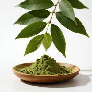 Neem Leaf Powder for Natural Pet <b>Shampoo</b> and Coat Conditioner Organic <b>Flea</b> Protection for Sensitive Skin <b>Dogs</b> and Cats - Product Image 1