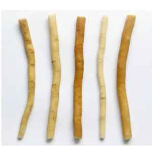 El mejor precio al por mayor Miswak Stick Limpieza de dientes natural para adultos y niños | Producto de higiene bucal multiusos - Product Image 2