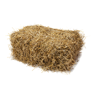Fournisseur en gros de stocks en vrac de balles de paille de blé naturel pour l'alimentation animale expédition rapide - Product Image 6