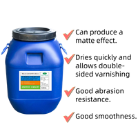 Barniz de Recubrimiento Semibrillante a Base de Agua Ecológico Lihap, Modelo 8389, para Impresión de Embalajes de Papel