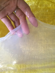 Feuille de Nata De Coco Raw pour le visage | Nata De Coco Face/Masque pour faire un masque pour le visage - Product Image 3