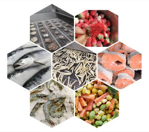 Congelatore Industriale IQF per Congelamento Rapido e Uniforme degli Alimenti - Product Image 6