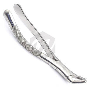 Premium Dental Extracting Forceps #151 Stainless Steel Tooth Extraction Forceps Lower Teeth Surgical Dental Medic Instruments - Product Image 2