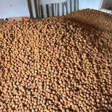 Venta al por mayor de Vietnam, longan seco sin semillas y lichi seco, dulce aperitivo natural, ideal para mercados de alimentos saludables - Product Image 2