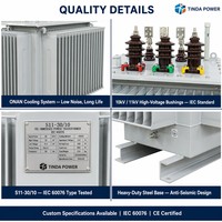 Transformateur de distribution triphasé immergé dans l'huile IEC CE 200 kVA 10 kV 11 kV pour sous-station de réseau électrique