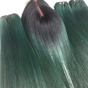 Lot de cheveux humains vietnamiens 100g avec closure, vert, lisses comme de la soie - Product Image 1