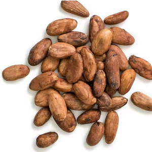 Venta al por mayor nuevos granos precio pura calidad natural orgánico granos de cacao secos a granel para la venta/Chocolate/frijoles/polvo - Product Image 3
