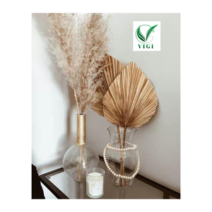 Éventails en bambou tissés à la main parfaits pour la décoration murale rustique - Product Image 6