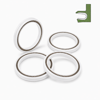 Joint à ressort JTVM haute température pour tige de valve de pompe chimique, joint rotatif à faible friction, kit de service résistant à la corrosion