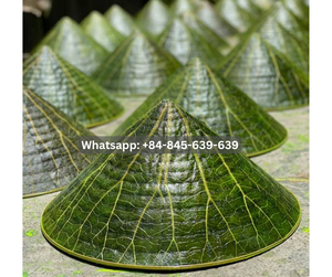 Chapeau à large bord écologique élégant pour la protection solaire pour l'agriculture - Product Image 2