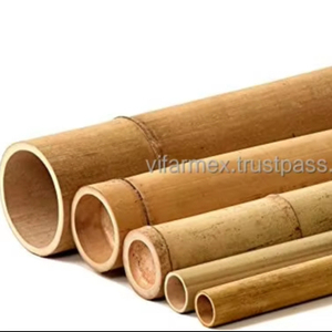 Vietnam Vifarmex Bamboo Pole Factory | Fabricante de bambú natural Exportador Suministro al por mayor - Product Image 1
