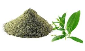 Supplément ayurvédique de culture sauvage en poudre d'extrait de Chirata de meilleure qualité pour désintoxication soutien digestif tambour approvisionnement mondial - Product Image 3