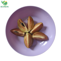 Bestseller Iqf Frozen Sapodilla/Hoogwaardig Standaardfruit Uit Vietnam