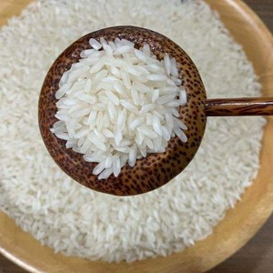 Riz long grain parfumé et aromatique 504 Rcie (le moins cher)/WA 84985971368 Fabriqué au Vietnam - Product Image 3