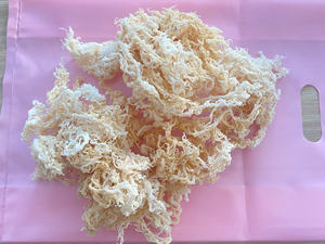 สาหร่าย cottonii: สาหร่ายผ้าฝ้ายสีขาวจากเวียดนามธรรมชาติ, ความชื้น5 10%, เหมาะสำหรับการเตรียมอาหารและสิ่งที่ต้องมีสำหรับการทำเจล - Product Image 6