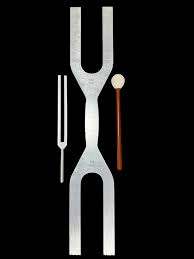 Diapasón de Doble Frecuencia con Martillo 432 Hz y 288 Hz, Suministros de Laboratorio - Product Image 3