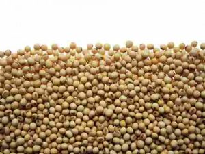 Protein cao 46% đậu nành bột máu và bột cá cho Lợn và chó cho thức ăn chăn nuôi với cám lúa mì đậu nành và hạt vừng - Product Image 6