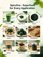 Poudre de protéines de spiruline riche en phycocyanine, soutien immunitaire, boissons sportives en vrac, durée de conservation de 24 mois