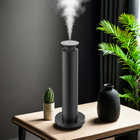 Diffuseur d'arômes intelligent Dermey 100ml pour diffuseur de parfum pour la maison et l'hôtel Nouvelle technologie d'atomisation Huile parfumée Diffuseur envoyé