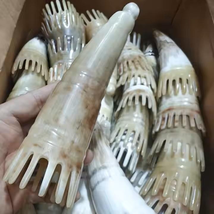 ธรรมชาติ