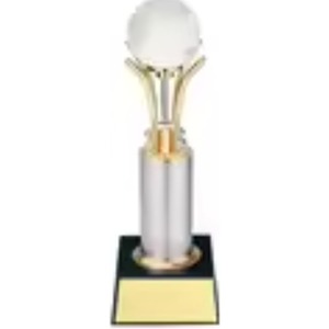 Trofeo mundial corporativo-Troquelado grabado ecológico de metal con gráficos personalizados-El MEJOR PRECIO DE LA India - Product Image 1