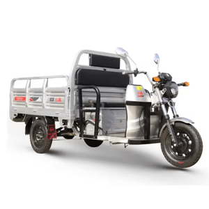 Triciclo eléctrico económico abierto para entrega de carga - Product Image 1