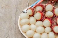 Bieden Puur Natuur Rambutans-Tropisch Fruit-Product Vorm Vietnam Met De Beste Prijs 100% Hoge Kwaliteit Klaar Om Te Exporteren