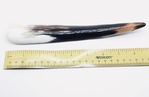 Real Ox <b>Horn</b> <b>Shoe</b> <b>Horn</b>/ Short and <b>Long</b> Shoehorn India/<b>shoe</b> <b>Horn</b> <b>Long</b> <b>Handle</b> Our Best Quality - Product Image 4