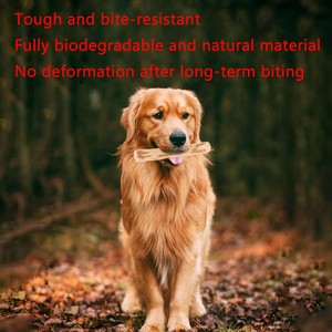 Tienphong 2024 New Promotions! Coffee Wood <b>Dog</b> Chews, Natural White and Sustainable Chewing <b>Toy</b> for Biting and Teething Training - Product Image 6