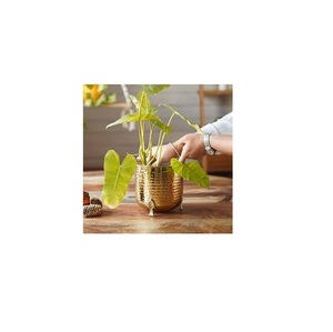 Venta caliente Flor de diseño moderno tamaño y forma personalizados maceta de hierro de Metal usos en decoración del hogar y artículos de jardín - Product Image 5