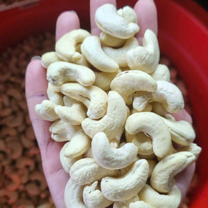 เม็ดมะม่วงหิมพานต์ดิบราคาถูก พร้อมส่ง จำนวนมาก เกรด WW180, WW240, WW320, LP เม็ดมะม่วงหิมพานต์ออร์แกนิก MOQ ต่ำ - Product Image 1