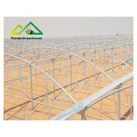 Hotselling grote multi-span polyethyleen folie kas, PO PE folie kas kit en kasbeplantingsplan