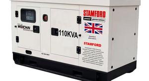 Générateur diesel 20 kVA Modèle 44556 50/60 Hz Portable et super silencieux Haute efficacité Démarrage automatique - Product Image 3