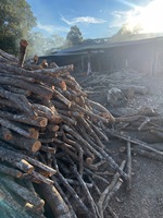 Origine vietnamienne Maitieu/bois dur charbon de bois blanc meilleur prix garanti 100% taxe gratuite charbon de bois/charbon sans fumée